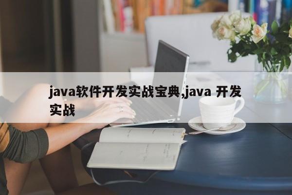 java软件开发实战宝典,java 开发实战